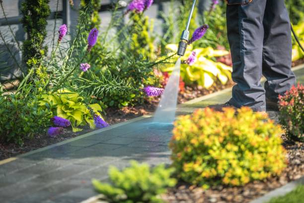 Best Dumpster Area Cleaning  in Rocky Point, WA