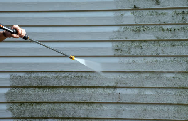 Professional Pressure Washing Services in Rocky Point, WA